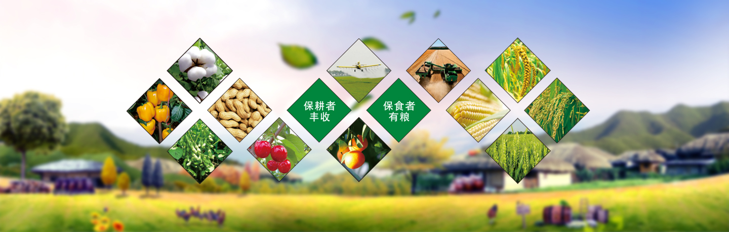 天津高效低毒除草劑、天津除草劑廠(chǎng)家