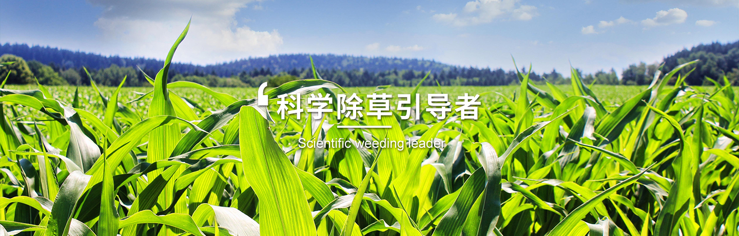 天津經(jīng)作類(lèi)除草劑訂購(gòu)、天津高粱田除草劑