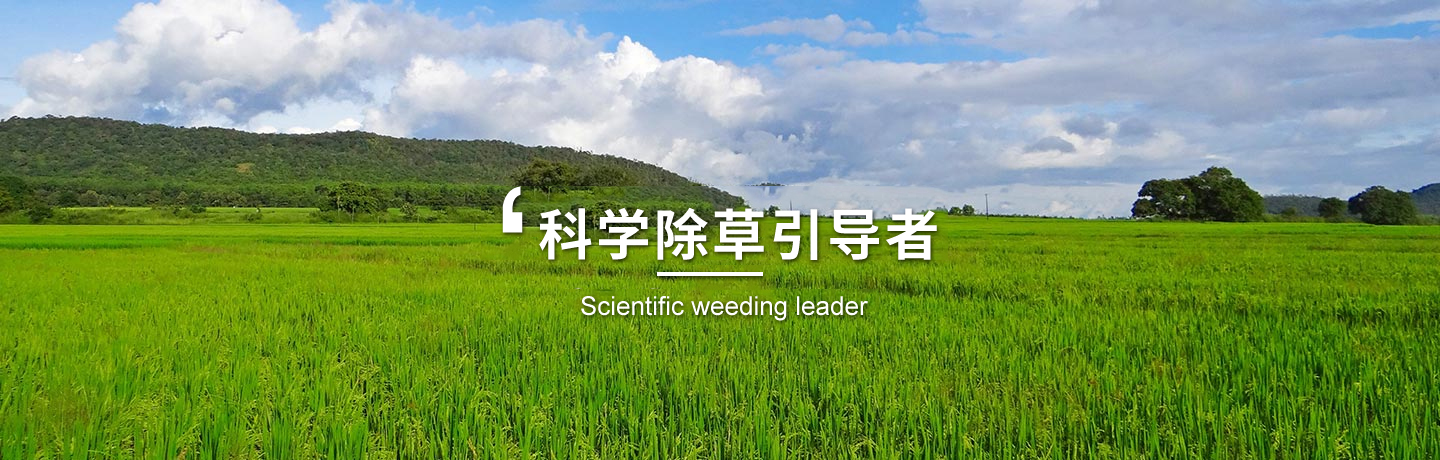 天津高粱田除草劑、河北玉米田除草劑